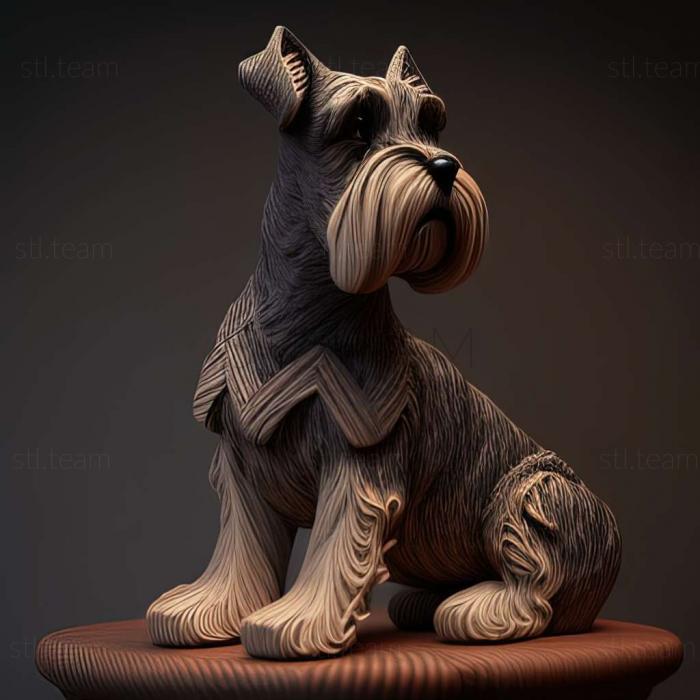 Zwergschnauzer dog